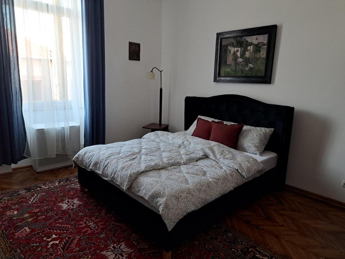 Weisz Apartment-City Center-Free Private Parking,Wifi,Ac Carei Exterior photo