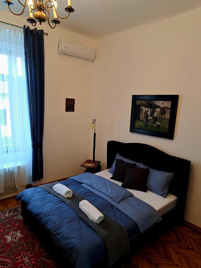 Weisz Apartment-City Center-Free Private Parking,Wifi,Ac Carei Exterior photo