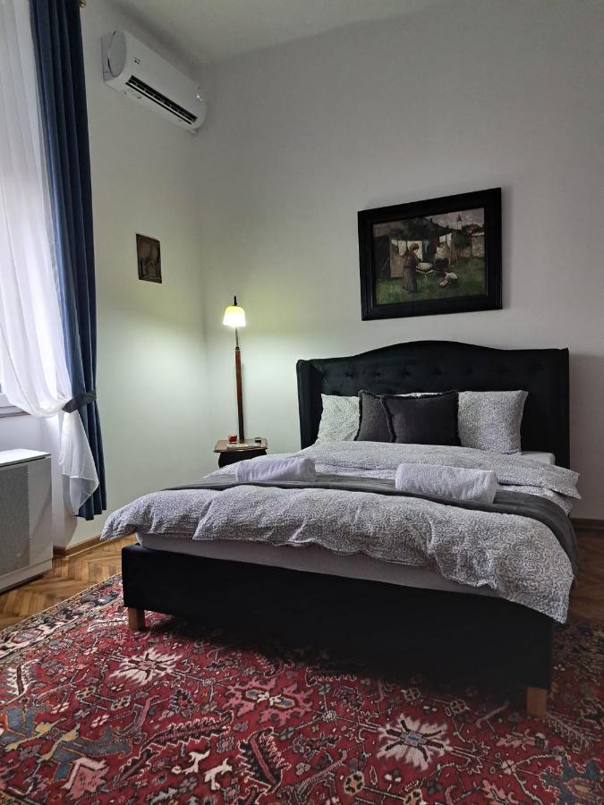 Weisz Apartment-City Center-Free Private Parking,Wifi,Ac Carei Exterior photo